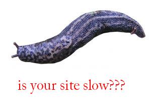 slow_website2